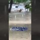 Texas flooding: Georgetown Good Samaritan rescues dog from floodwaters | FOX 7 Austin