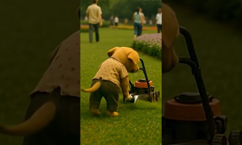 The Cutest Puppy Moments