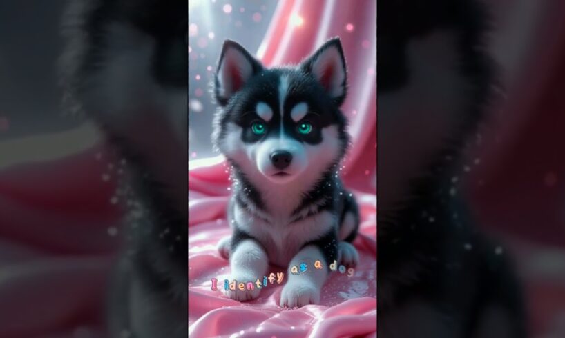 The Cutest Puppy in the World 🐾