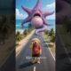 The poor puppy rescue pregnant starfish #puppy #rescue #starfish #animals #funny