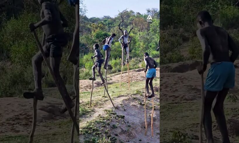 The view must be spectacular from up there