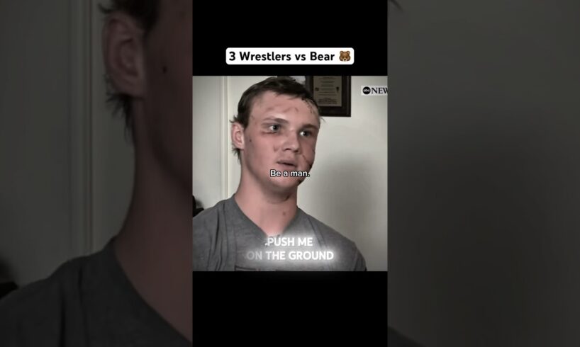 They fought a BEAR 🤯🐻  #wrestling #wrestlingshorts #viral #trending #animals #fitness #bear