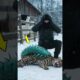 ⚠️This Uninvited Guest Shocked the Farmer! #animalrescue