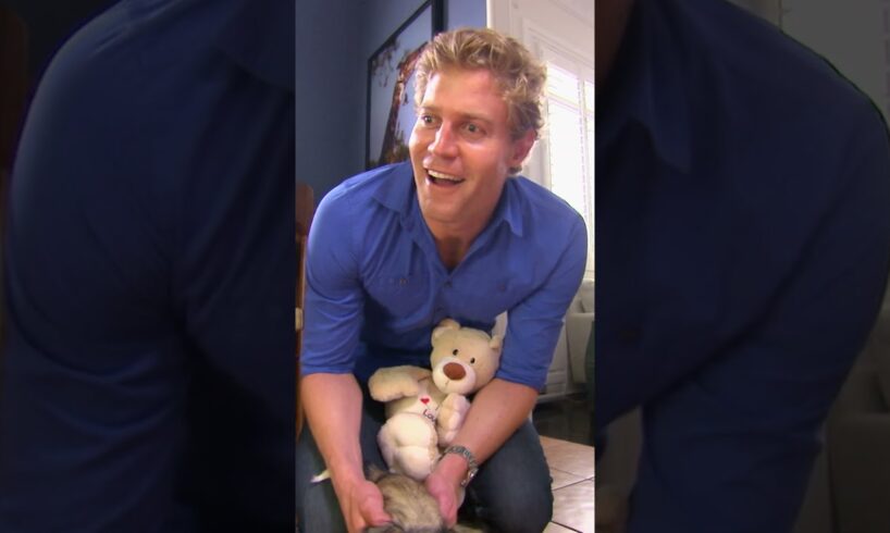 Tiny Mistreated Puppy Quickly Finds a Place in Dr Chris's Heart ❤️ #bondivet #shorts #puppy