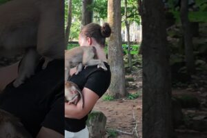 USA Girl play with monkey so happy #shorts #monkeysr #babyanimal #animals #cute #monkeys #viral