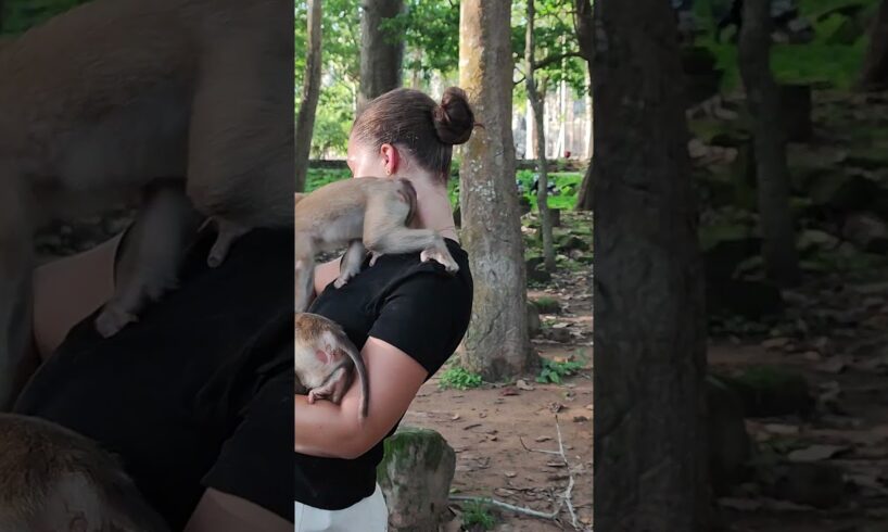 USA Girl play with monkey so happy #shorts #monkeysr #babyanimal #animals #cute #monkeys #viral