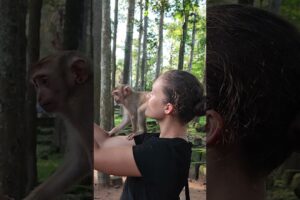 USA Girl play with monkey very happy #shorts #monkeysr #babyanimal #animals #cute #monkeys #viral