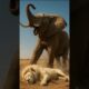 White Lion Battles the Strongest Animals in History 🦁🔥 (Epic Animal Fights)