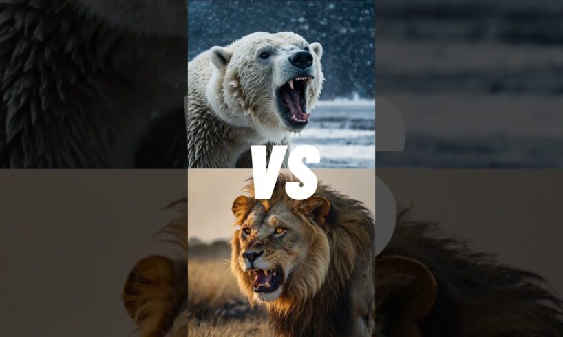 Wild Animal Battles: Lion vs Tiger, T-Rex vs Rhino & More! 🐅🦖UltimateVS Showdown  #lionvstiger#tiger
