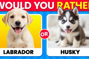 Would You Rather...? DOGS Edition 🐶🐾 Which Dog is Cuter? ❤️✨
