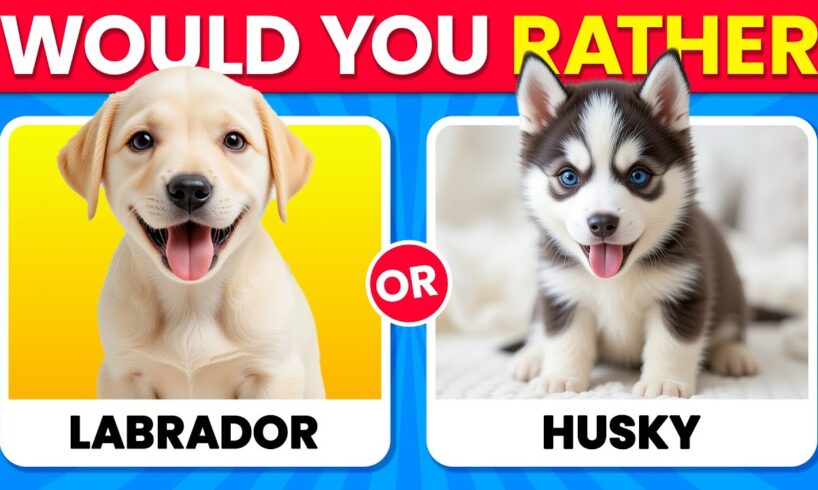 Would You Rather...? DOGS Edition ๐ถ๐พ Which Dog is Cuter? โค๏ธโจ