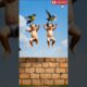 You Won’t Believe What This Baby👶 Became in Air! 🐶 Floating Stack Shock!🐦😱 #shorts