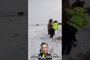 epic Funny Video 😂 #shorts​ #viralshorts​ #comedy​..funny animals😅#funny​ #animals​#shortvideo​