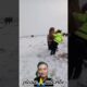 epic Funny Video 😂 #shorts​ #viralshorts​ #comedy​..funny animals😅#funny​ #animals​#shortvideo​