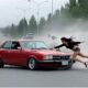 world's luckiest people alive!