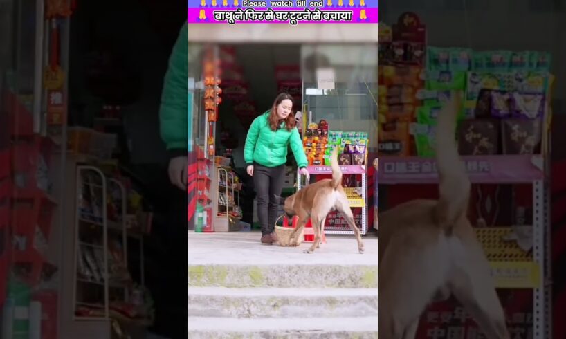 बाथू ने फिर से घर टूटने से बचाया #animal #animalrescue #animallover #rescue #dog