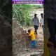 रक्षक को धन्यवाद देने आया मोर #animal #animalrescue #animallover #rescue #peacock