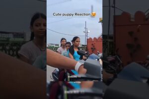 Cutest Puppy Reaction 😍 #reaction #cutereactions #shorts #trending #puppy #motovlog #bike #rider