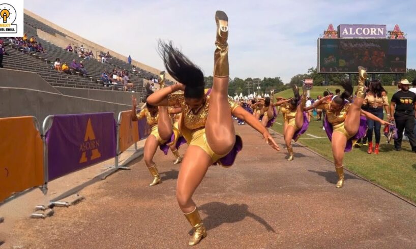 World’s Most Amazing Skills And Talent EVER !