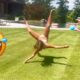 Best Fails of The Week: Funniest Fails Compilation: Funny Video | FailArmy Part - 82