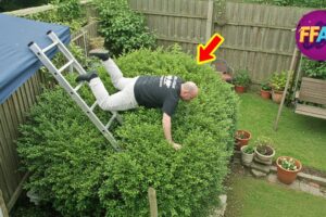 TOTAL IDIOTS AT WORK | Instant Regret Fails Compilation | Best fail of the week😂 #144