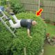 TOTAL IDIOTS AT WORK | Instant Regret Fails Compilation | Best fail of the week😂 #144