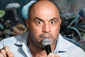 30 Minutes of the Wildest Body & Mind Transformations on Joe Rogan Stories That Will Blow Your Mind