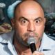 30 Minutes of the Wildest Body & Mind Transformations on Joe Rogan Stories That Will Blow Your Mind