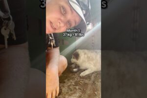 81-Pound Street Dog Goes On A Weight Loss Journey | The Dodo