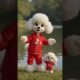 Adorable Puppies Dancing in Red Outfits 🐶💃 Funny Dog Dance by the Lake | #Shorts #DogDance