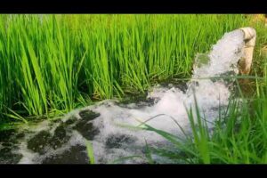 Agri Culture Water & Sounds || The Tiny Country Foods First Video