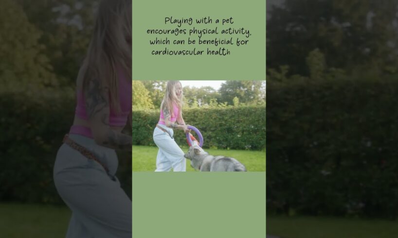 ❤ Animals: Playing With Animals Can Encourage Physical Activity ❤   #shorts