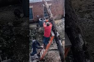 Best Fails of The Week #fail |121|