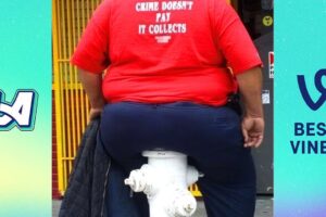 Best Fails of the Week 😂 Try Not to Laugh Challenge