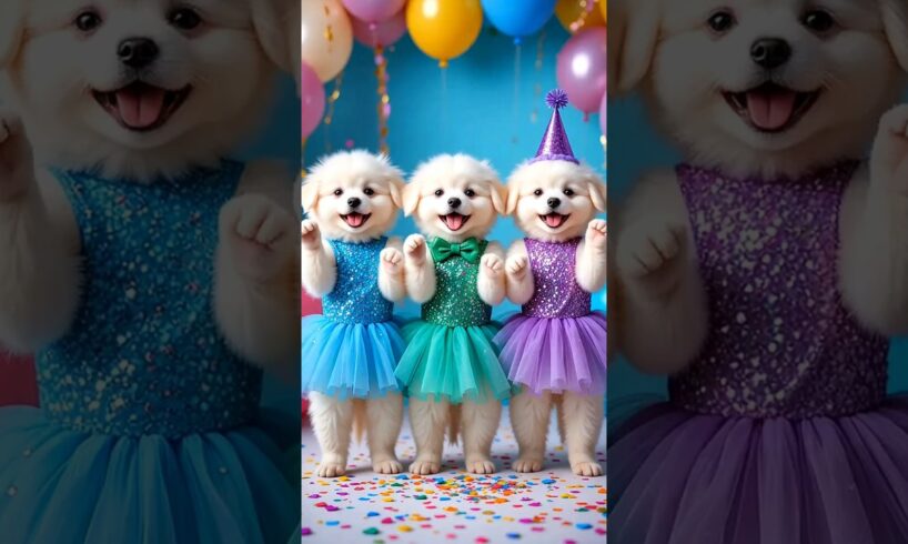 Cute puppies Crazy Dance | #funnyvideo #cutepuppy #viralshorts #dogshorts