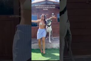 Cute puppies🐶 and careing dogss🥰 #animallovers #funny #wildliferescue #animals #puppy #dogs