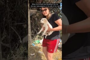 Cute puppies #lovestory #animals #wildliferescue #cute #wildlife #rescue #puppy #love