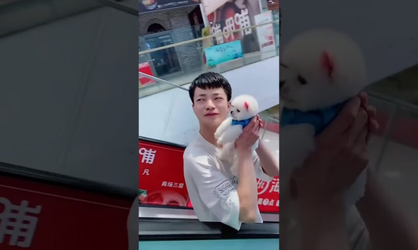 Cutest Puppy Steal Ever! 🐶 Free Pup! #shorts #puppy