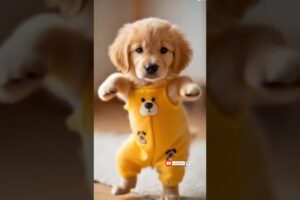 Dancing Puppy Deli 🐶😂 Cute Dog Shows Off Dance Moves #Dog #motorcycle #dance #dogdance  #pet