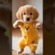 Dancing Puppy Deli 🐶😂 Cute Dog Shows Off Dance Moves #Dog #motorcycle #dance #dogdance  #pet
