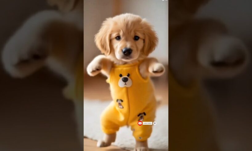 Dancing Puppy Deli ๐ถ๐ Cute Dog Shows Off Dance Moves #Dog #motorcycle #dance #dogdance #pet