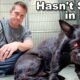 Dumped on the Highway, She Won't Let Anyone in Her Kennel Until This...🥺