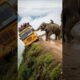 Elephant saves bus from falling #ai #animals #wildliferescue #shorts #monkey #foryou #elephant
