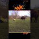 FUNNIEST Fails of the Week 🤣 BEST Fail Videos | #funny #hilariousfails #funniestvideo #shorts