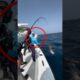 Fishing Trip Turns Into Shark Chaos!