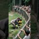 GORILLA'S HEARTWARMING RESCUE OF CHILD IN ZOO! #gorilla #zoo #rescue #animal 🦍