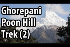 Ghorepani Poon Hill Trek - Beauty of Nepal (Part 2)