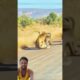 Group of Baboons Fight Off Leopard