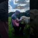 Guy Sings His Heart Out To Animals Everywhere He Goes | The Dodo