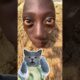 😲How I Caught The Football With A Thrill?🏈|Tenge 🇺🇬🇳🇬 #funnycat #catmemes #trending